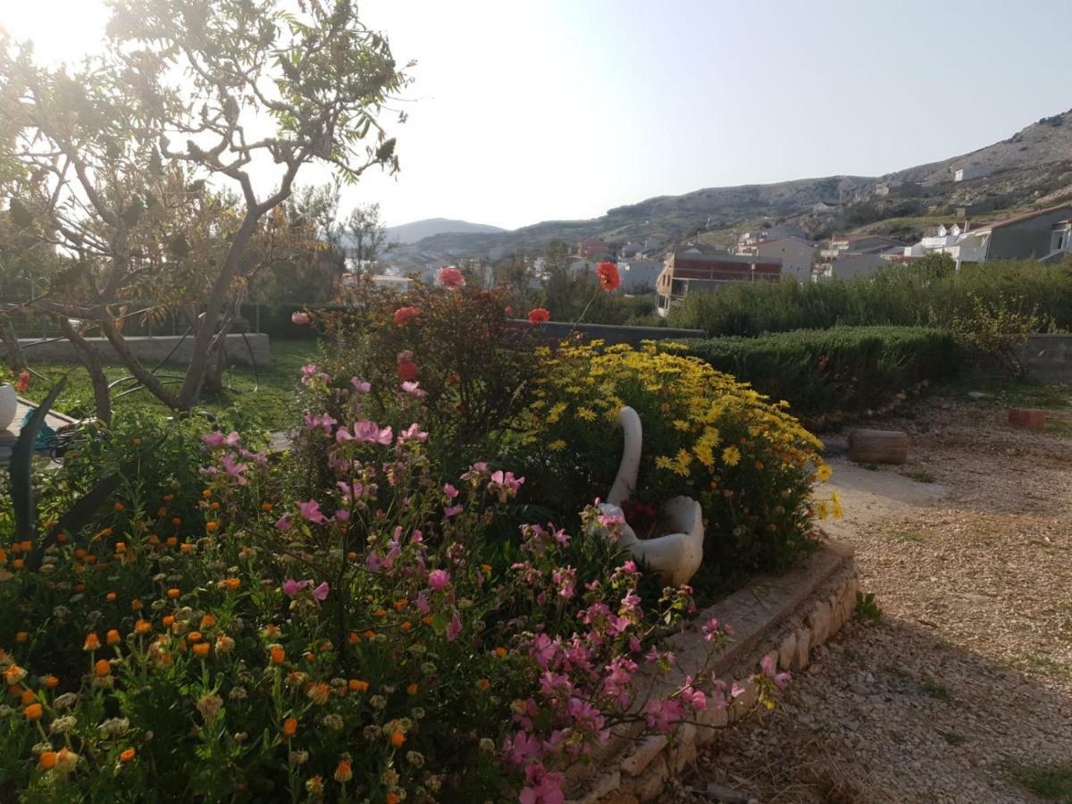 Apartmani Dalmatinka Metajna Dış mekan fotoğraf